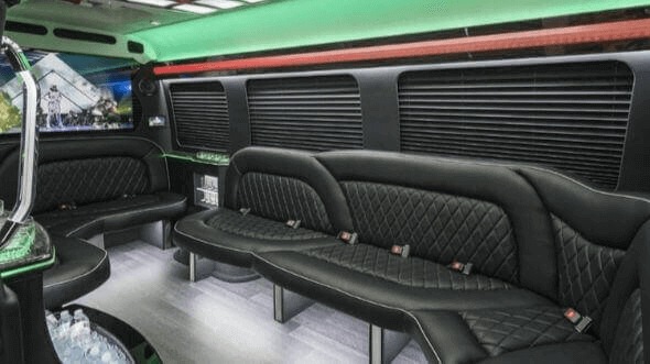 odessa 14 passenger sprinter limousine interior